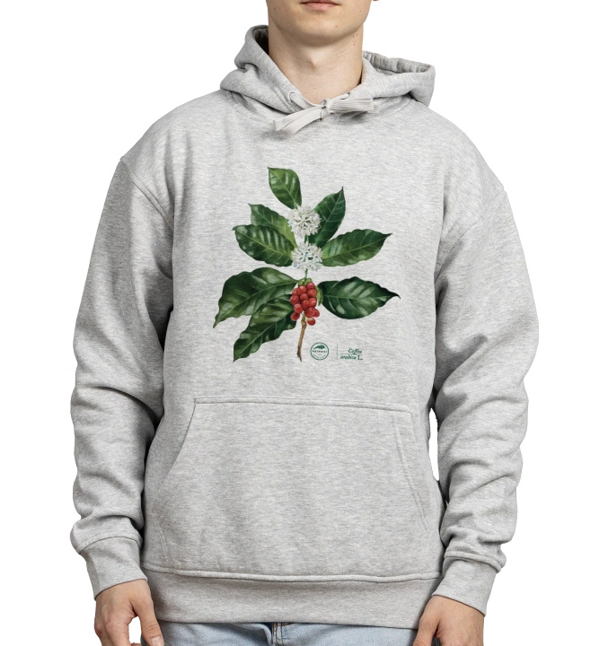 Coffea arabica — hoodie