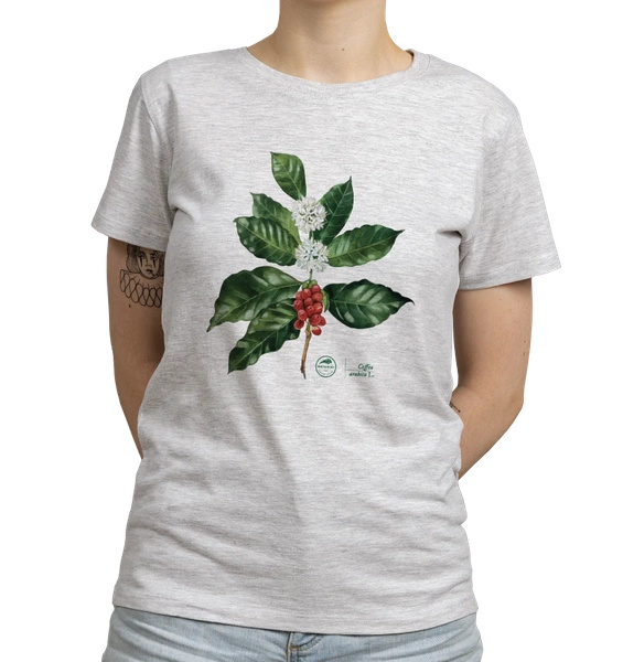 Coffea arabica — women's t-shirt