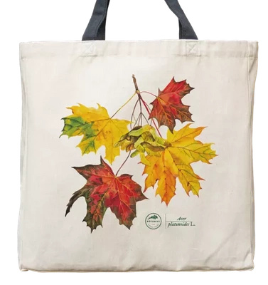 Norway maple — premium cotton bag