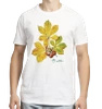 Chestnut tree — classic t-shirt