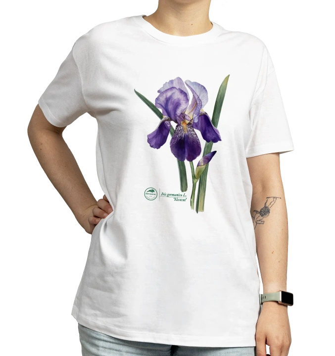 Iris 'Alcazar' — classic t-shirt