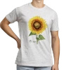 Common sunflower — classic t-shirt