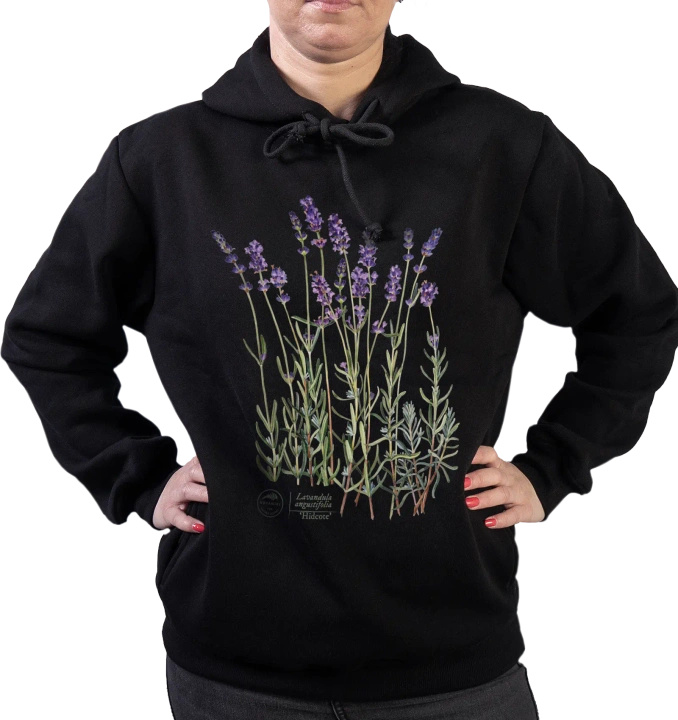 Lavender 'Hidcote' — premium hoodie