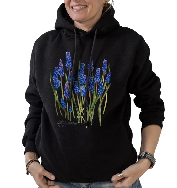 Armenian grape hyacinth — premium hoodie