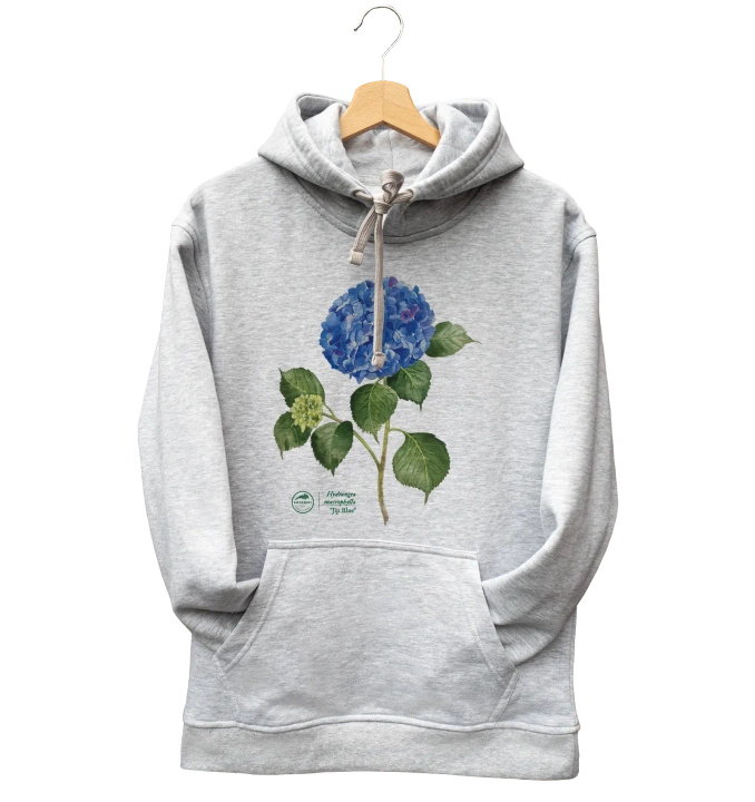 French hydrangea 'Jip Blue' — hoodie