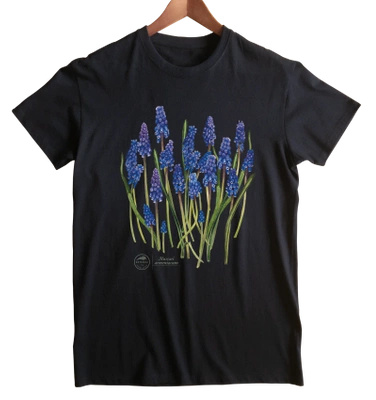 Armenian grape hyacinth — classic t-shirt