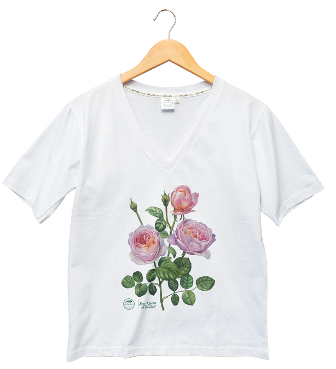 Rose 'Queen of Sweden' — premium t-shirt