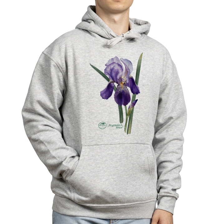 Bearded iris 'Alcazar' — hoodie
