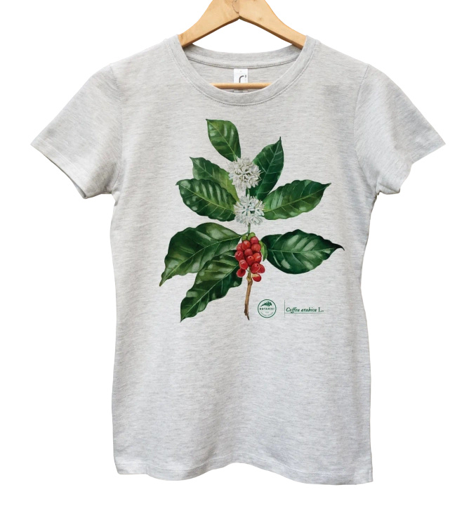 Coffea arabica — women's t-shirt