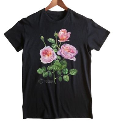 Rose 'Queen of Sweden'  — classic t-shirt