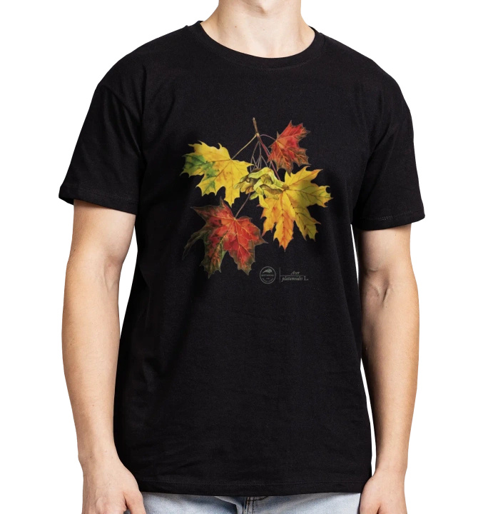 Norway maple — classic t-shirt