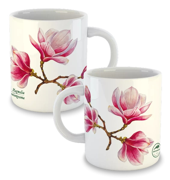 Saucer magnolia — classic mug