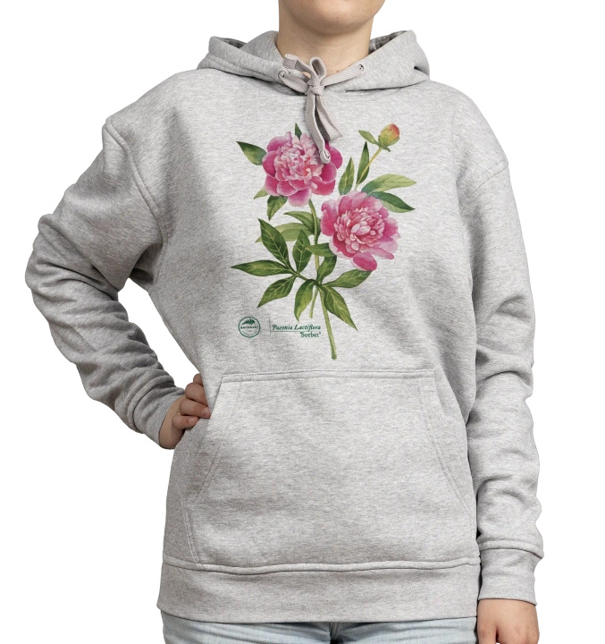 Chinese peony 'Sorbet' — hoodie