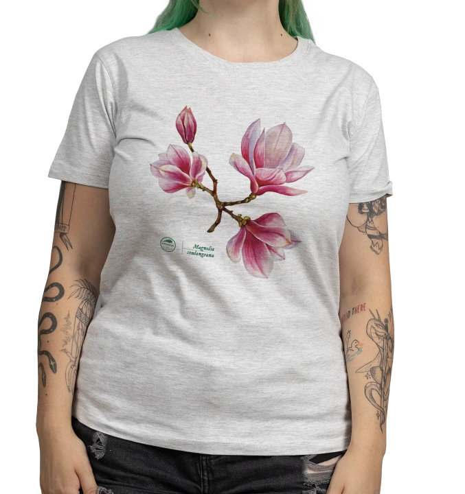 Saucer magnolia intermediate — women's t-shirt