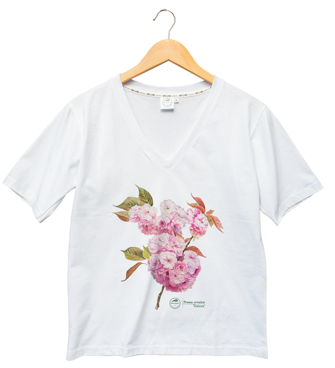 Cherry blossom 'Kanzan' — premium  t-shirt