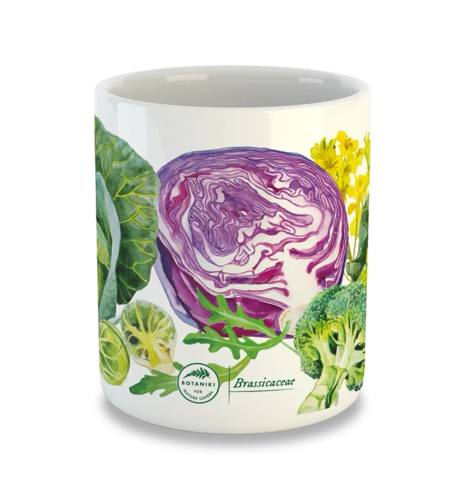 Cruciferous vegetables — classic mug