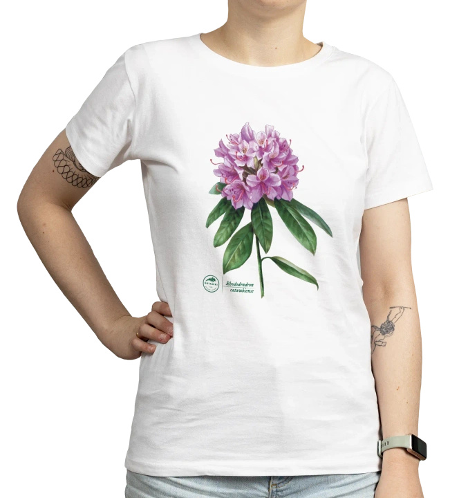 Catawba rosebay — women's t-shirt