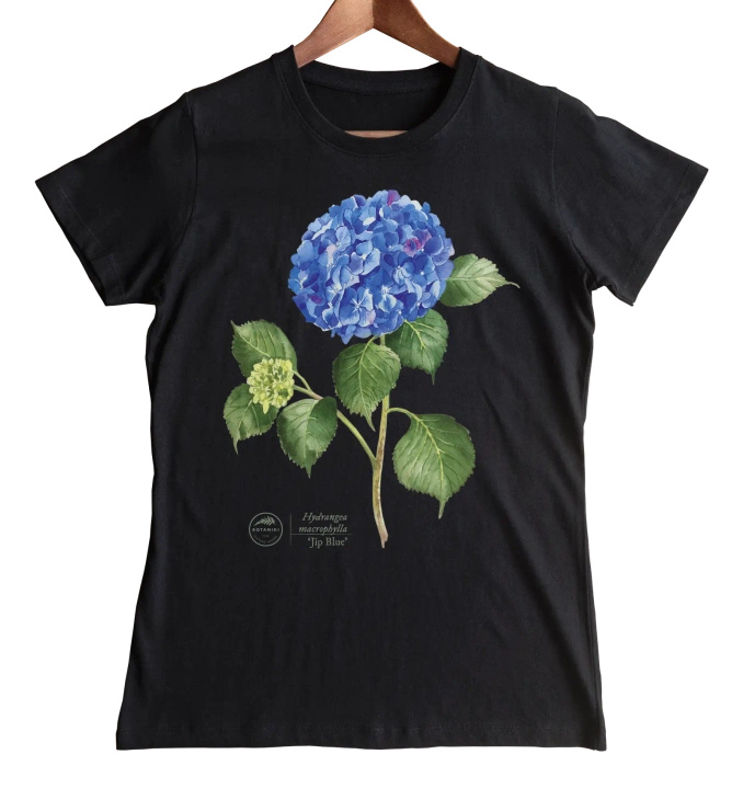 Hydrangea 'Jip Blue' — women's t-shirt