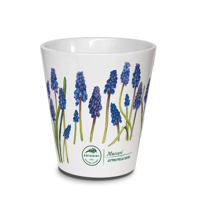 Armenian grape hyacinth — latte mug