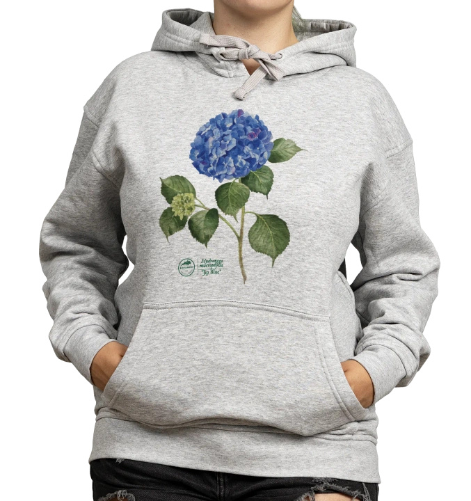 French hydrangea 'Jip Blue' — hoodie