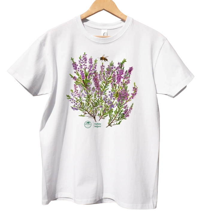 Common heather — classic t-shirt