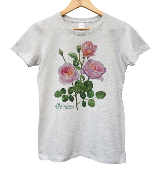 Rose 'Queen of Sweden' — women's t-shirt