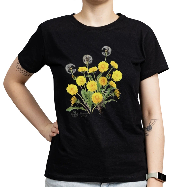Dandelion — women's t-shirt