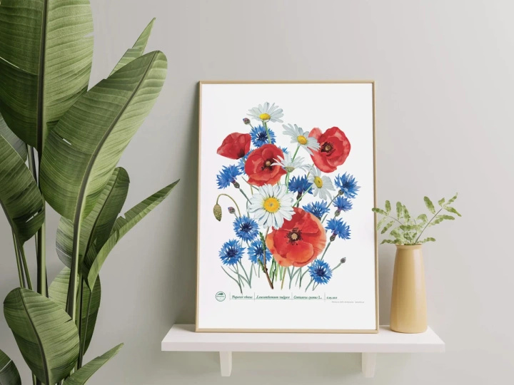 Wildflowers — plant motif poster