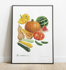 Cucurbit vegetables — plant motif poster