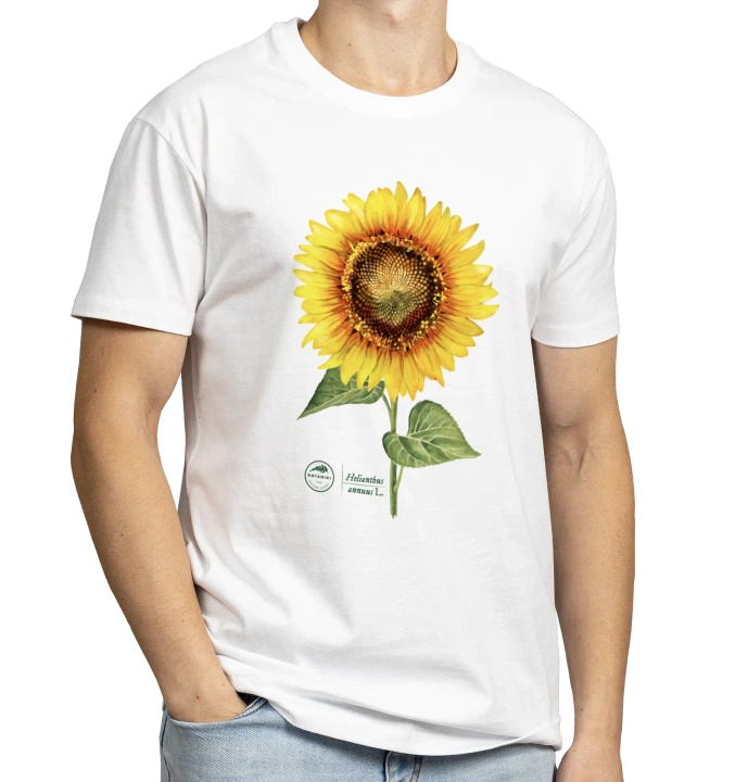 Common sunflower — classic t-shirt