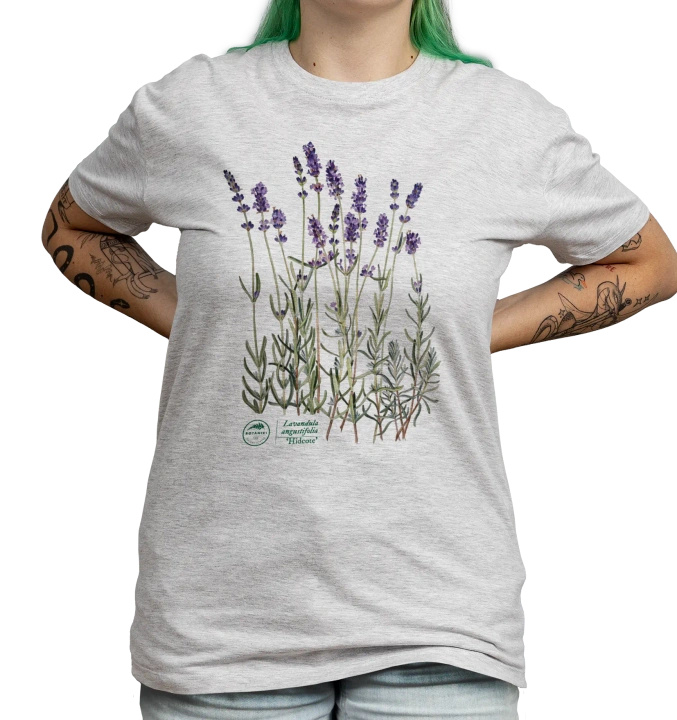 Lavender 'Hidcote' — classic t-shirt