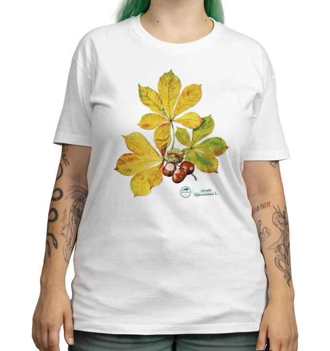Chestnut tree — classic t-shirt