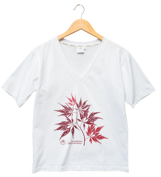 Acer Dissectum Garneta — premium  t-shirt