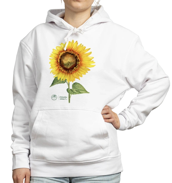 Common sunflower — hoodie