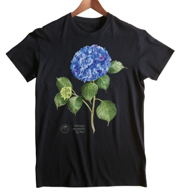 Hydrangea 'Jip Blue' — classic unisex t-shirt