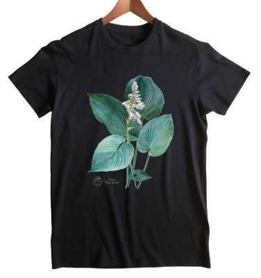 Hosta 'Blue Rock' — classic t-shirt