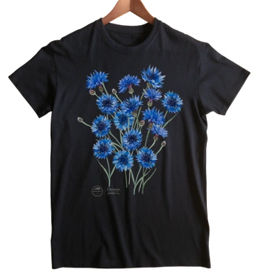 Cornflowers — classic t-shirt