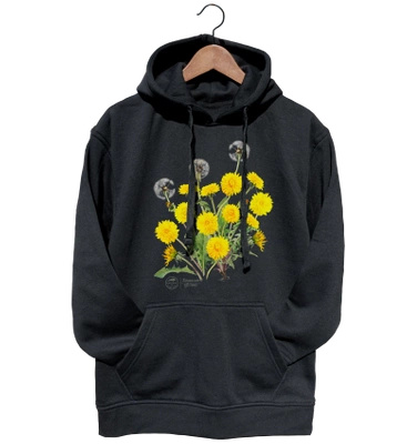 Dandelion — hoodie