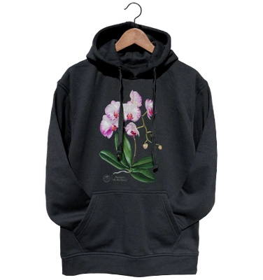 Orchid phalaenopsis — hoodie