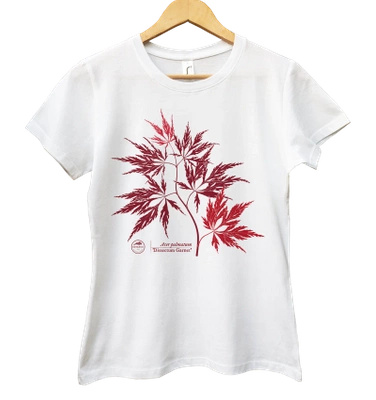 Acer Dissectum Garneta — women's t-shirt