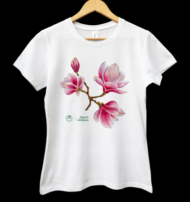 Saucer magnolia intermediate — women's t-shirt