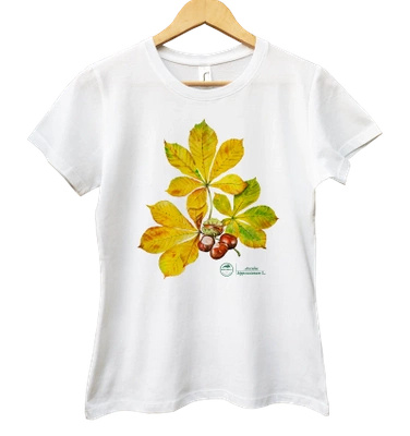 Chestnut tree — women's t-shirt