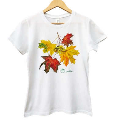 Norway maple — women's t-shirt