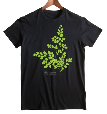 Maidenhair fern — unisex classic t-shirt