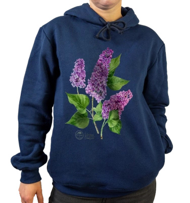 Common lilac — premium hoodie