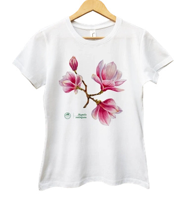 Saucer magnolia intermediate — women's t-shirt