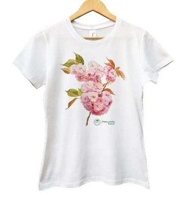 Cherry blossom 'Kanzan' — women's t-shirt