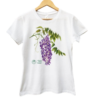 Chinese wisteria 'Prolific' — women's t-shirt