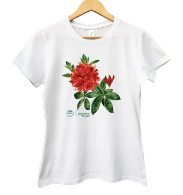 Rhododendron 'Fireball' — women's t-shirt