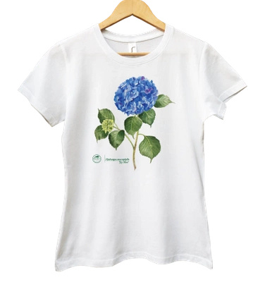 Hydrangea 'Jip Blue' — women's t-shirt